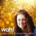 Healing Visualisations专辑