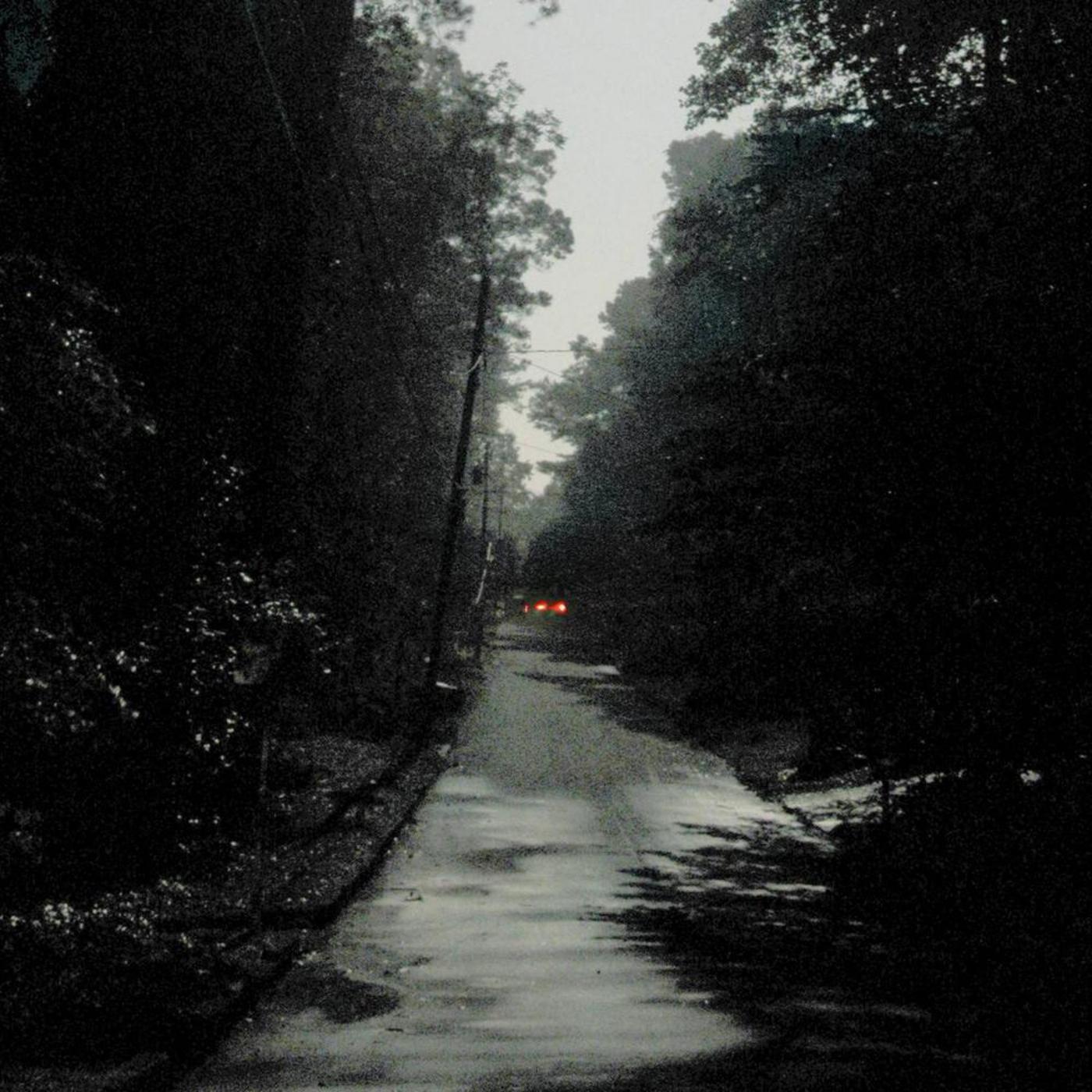 Perfect Without People
