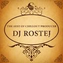 The Best of Chillout Producer: Dj Rostej专辑