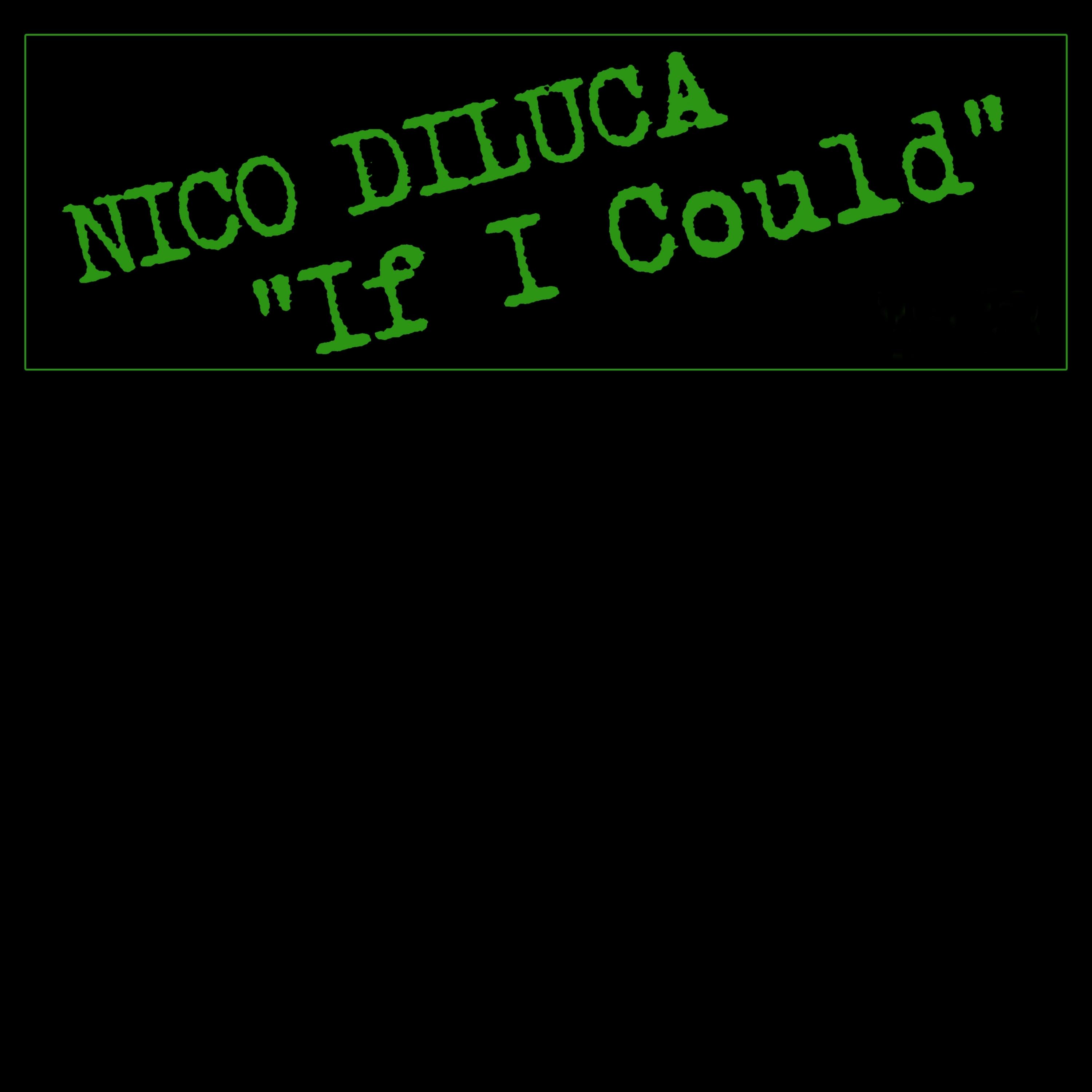 If I Could