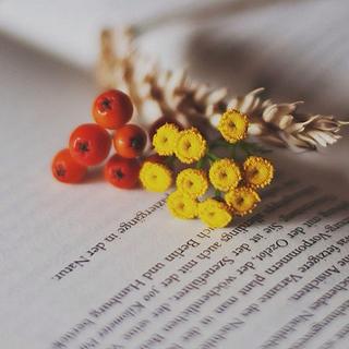 清新纯音丨确认过眼神你是温柔的人