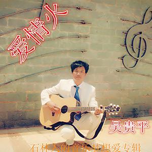吴贵平 - 爱情火(原版立体声伴奏)