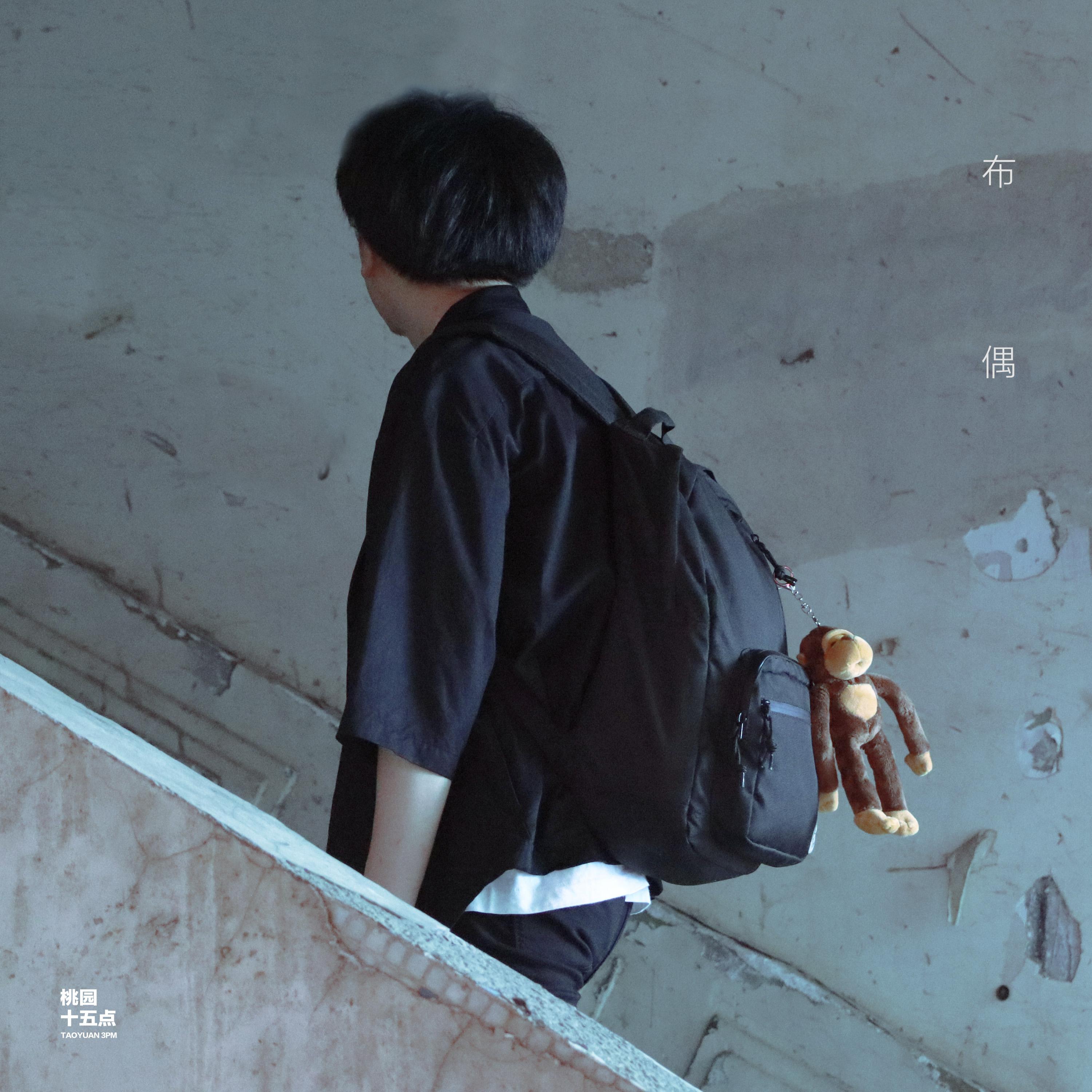 布偶