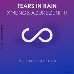 Tears In Rain (Extended Mix)