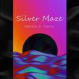 Silver Maze