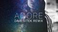 Adore (Dave Sitek Remix)专辑