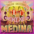 Miss Decibel (Remixes)