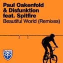 Beautiful World (Remixes)专辑