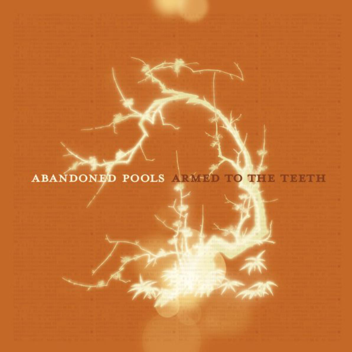 Abandoned Pools - The Catalyst