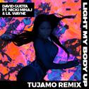 Light My Body Up (Tujamo Remix) 专辑