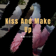 Kiss And Make Up