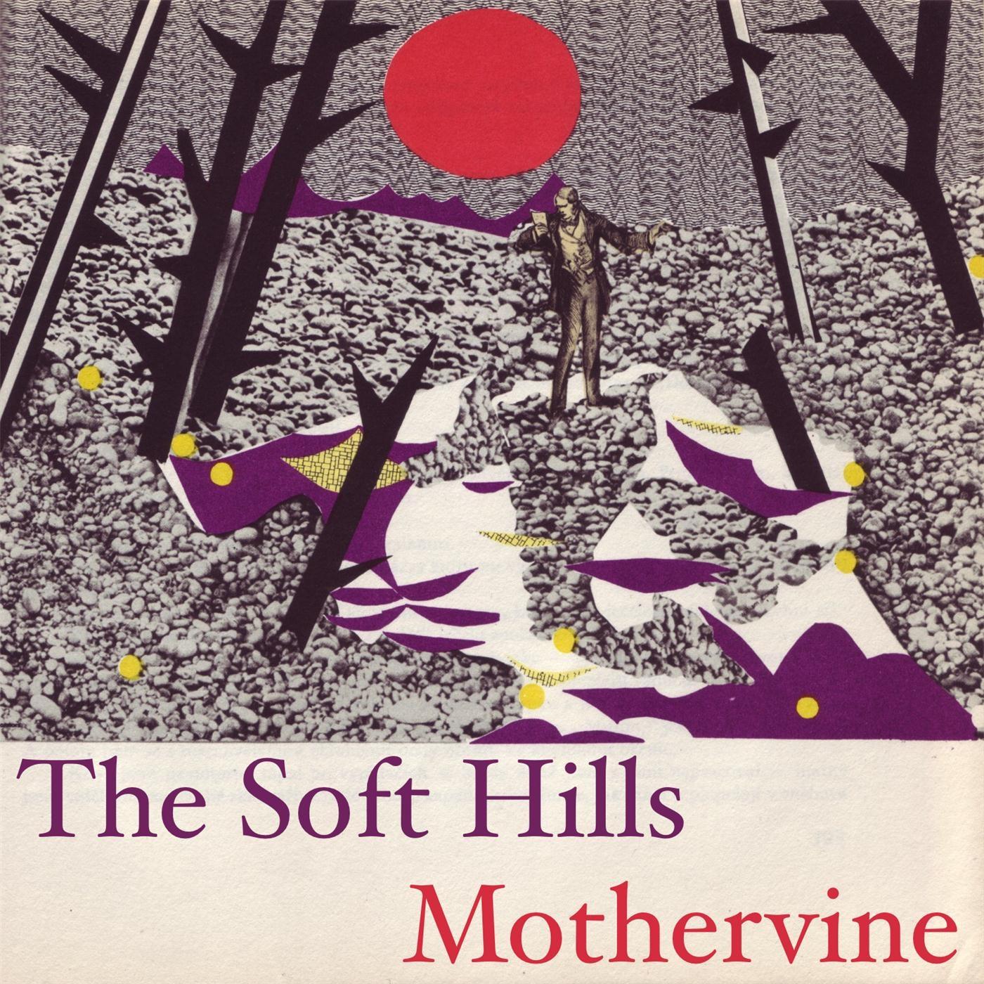Mothervine