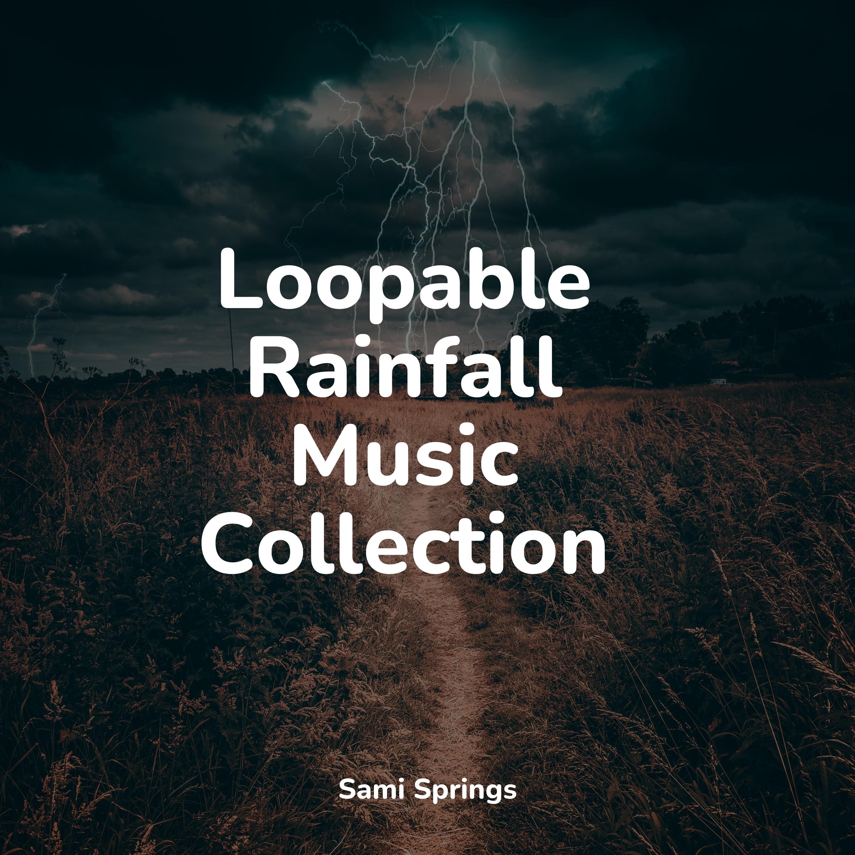Loopable Rainfall Music Collection