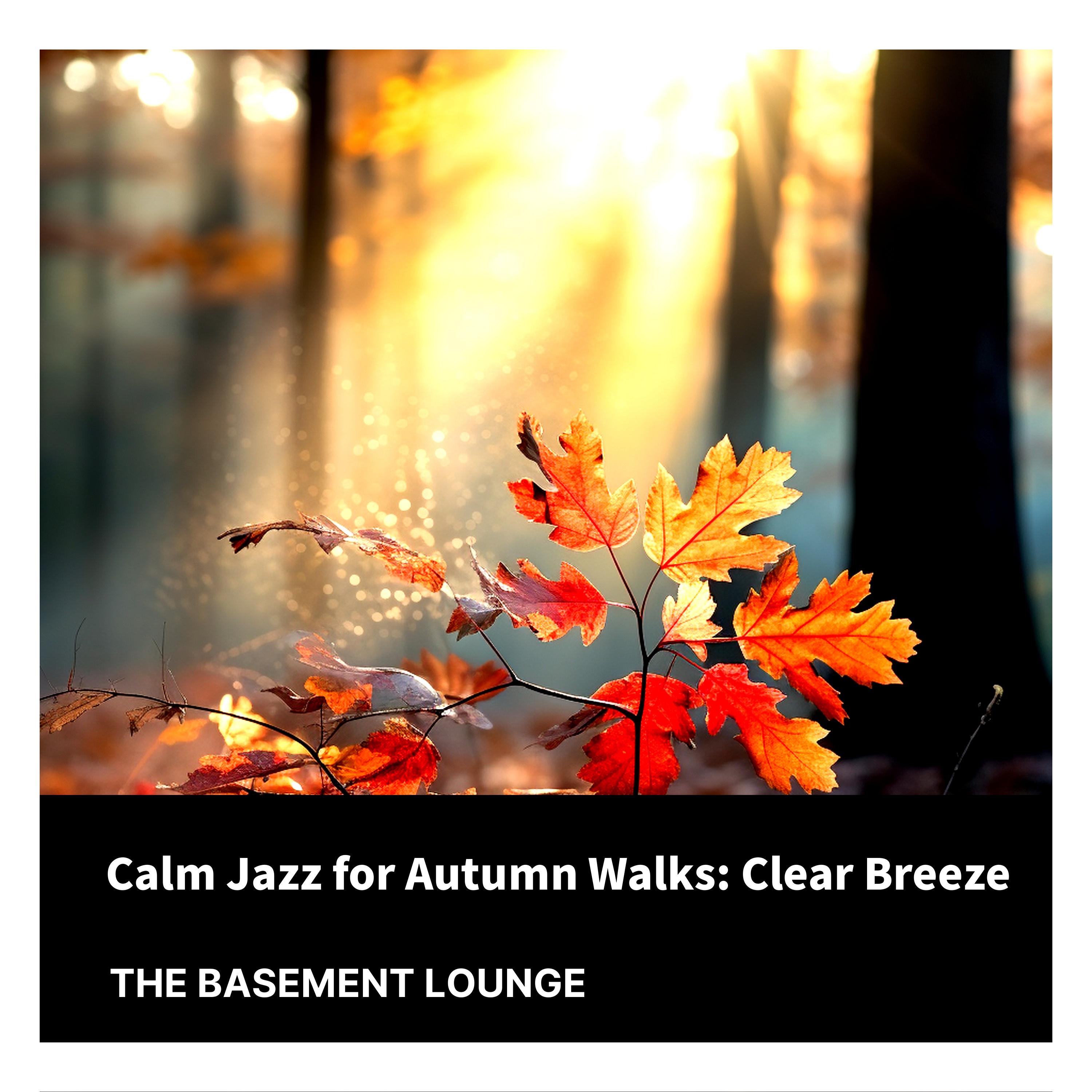 A Breezy Midday Stroll - The Basement Lounge - 单曲 - 网易云音乐