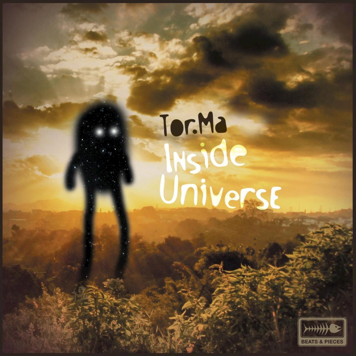 Inside Universe