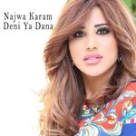 Deni Ya Dana - دني يا دنا专辑