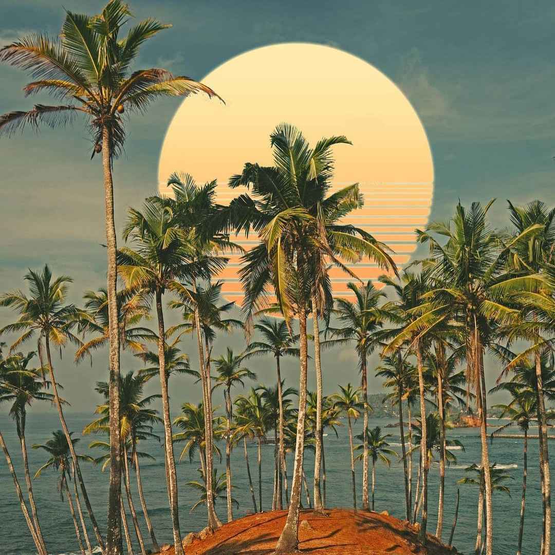 Tropic