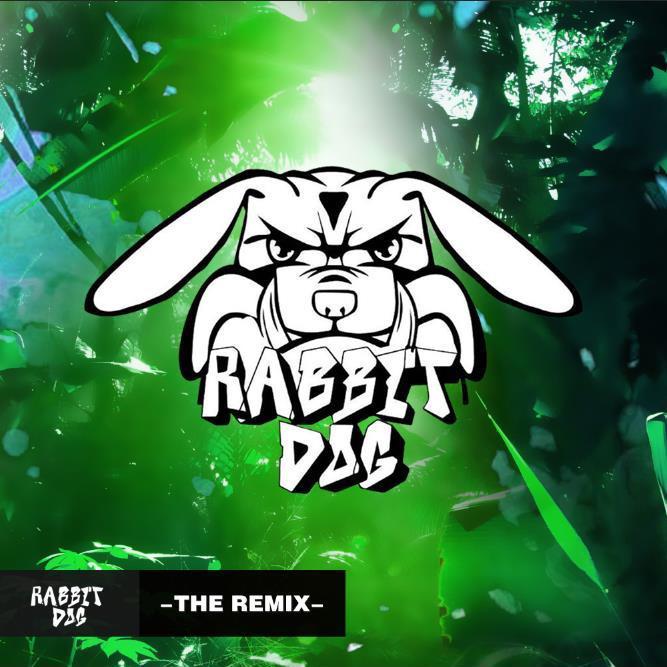 Remix