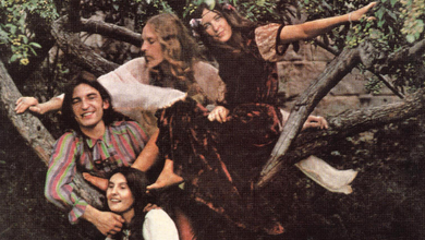 The Incredible String Band