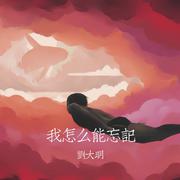 我怎么能忘记