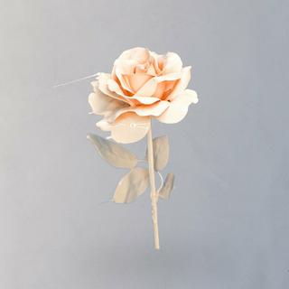 纯音 | 寂静的苍白，遥远的叹息