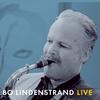 Bo Lindenstrand - Light Blue