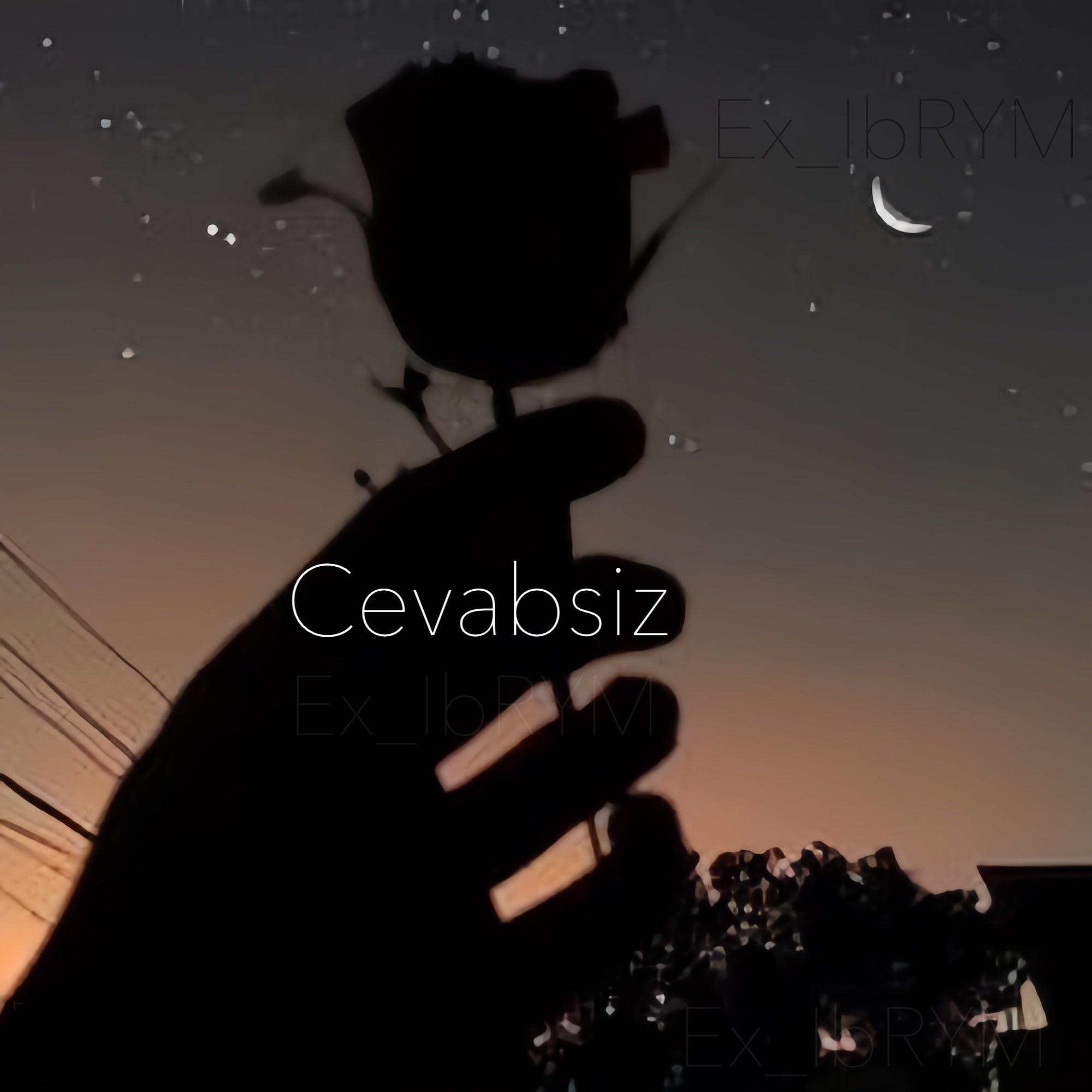 Cevabsiz