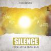 Nick Jay - Silence (TJIG Remix)