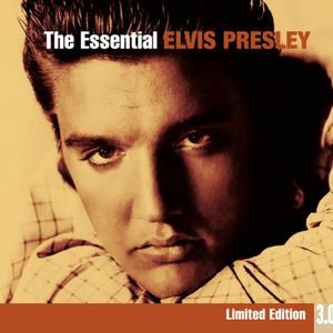 All Shook Up - Elvis Presley (PM karaoke) 带和声伴奏