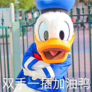 致孤独而又感性的你