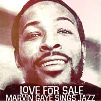 Strange Love (Feel All My Love Inside) (Single Mix) - Marvin Gaye