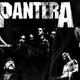 Pantera