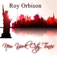 Roy Orbison - Dream Baby (karaoke)