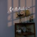 看不透你的心专辑