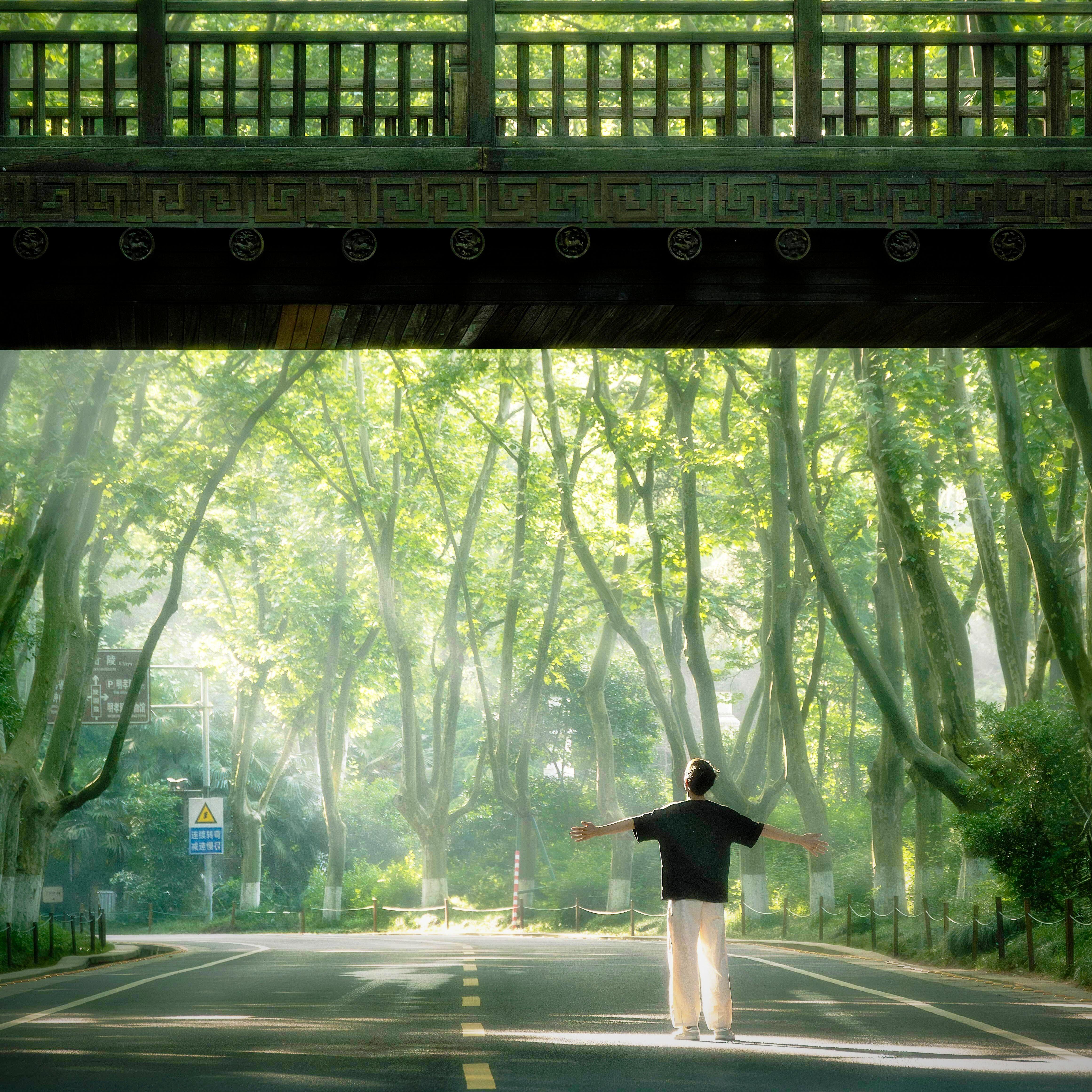 短情