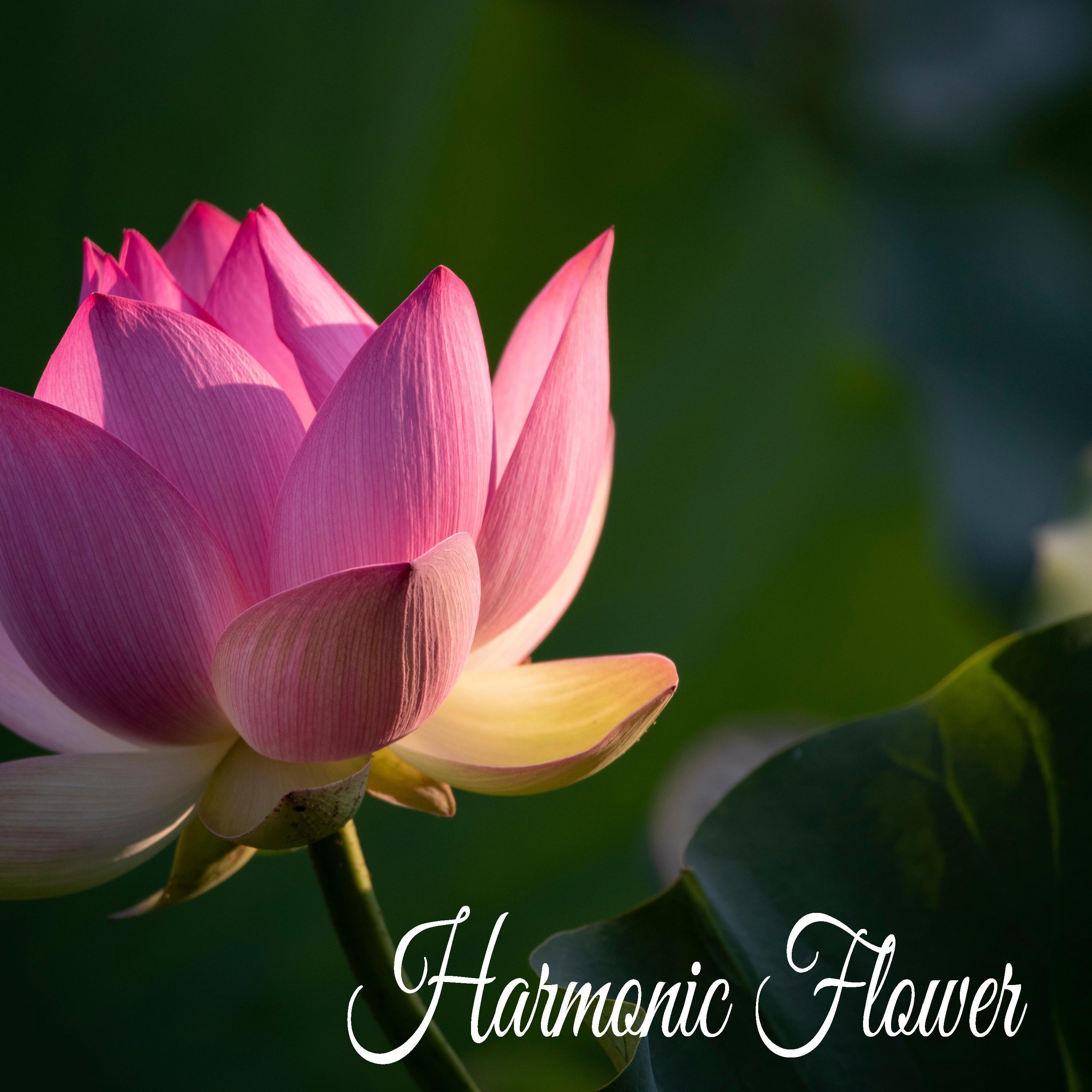 Harmonic Flower
