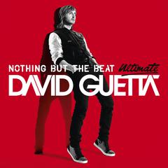 David Guetta,Usher《Without You (feat. Usher)吉他谱》_完美融合情感