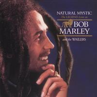 Iron Lion Zion - Bob Marley (unofficial Instrumental)