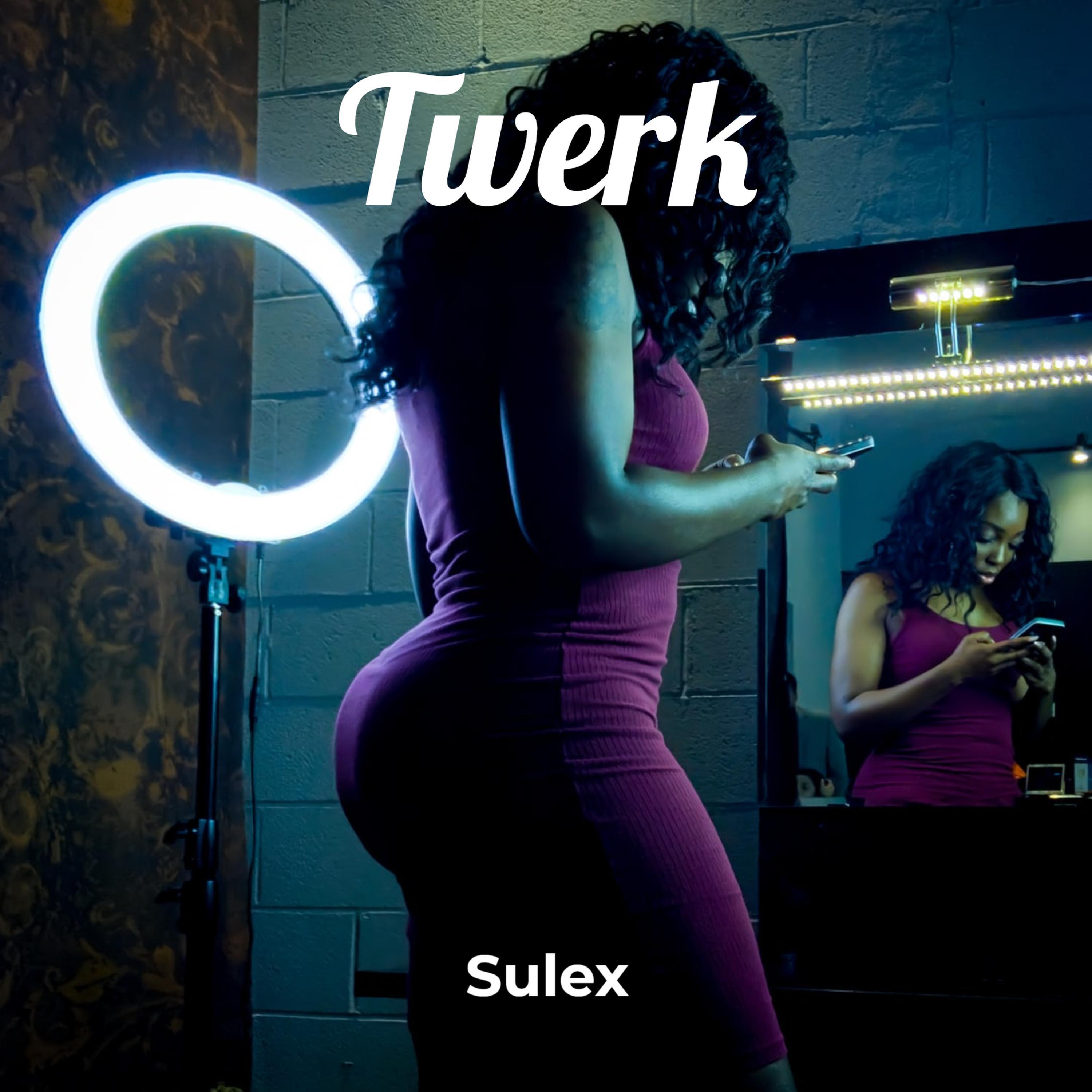 Sulex - Twerk