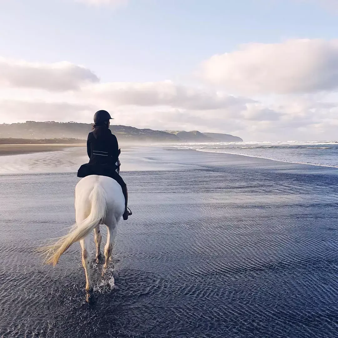 Still Love（Yang）