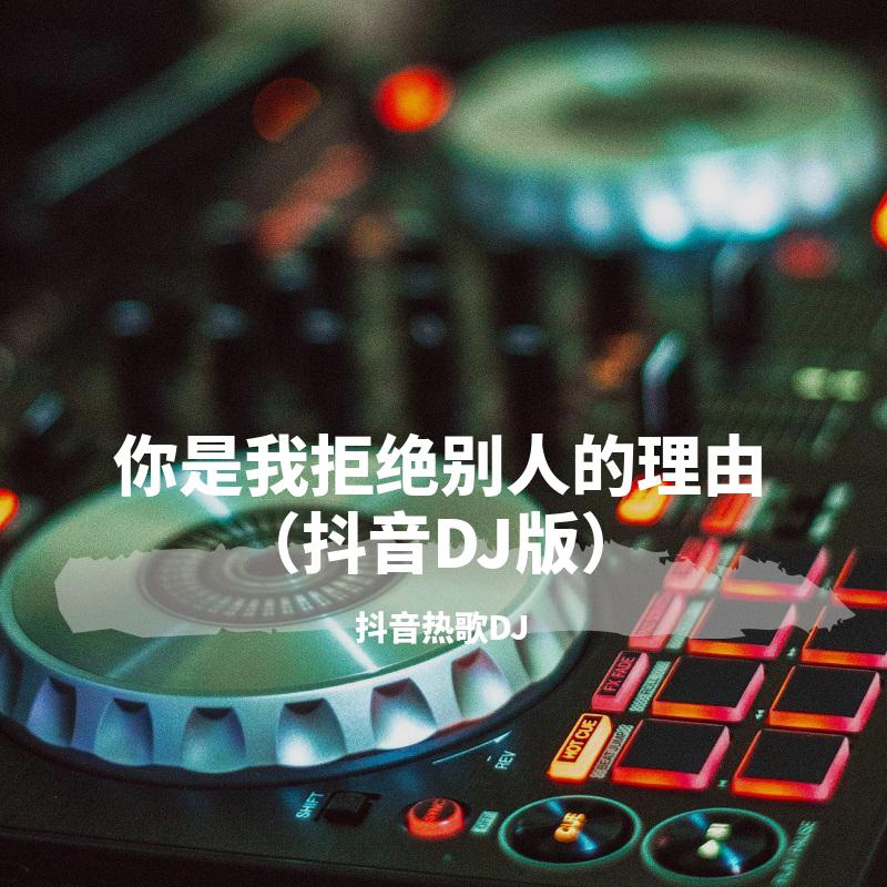 你是我拒绝别人的理由（抖音DJ版）