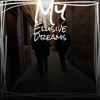 My Elusive Dream - Tom Jones (PM karaoke) 带和声伴奏