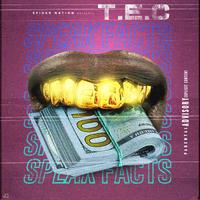 Tec - Speak Facts (Instrumental) 无和声伴奏