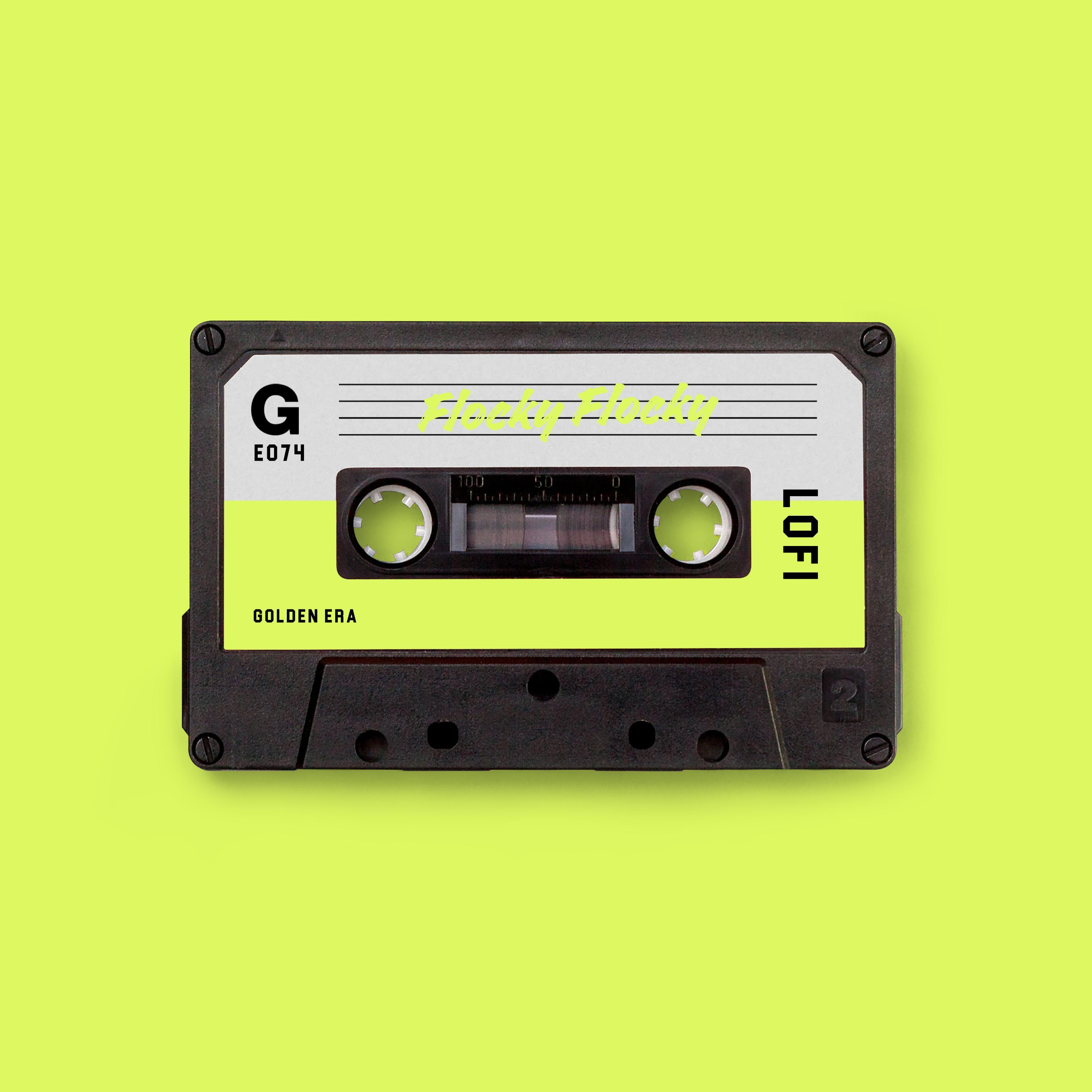 Flocky Flocky (lofi version)