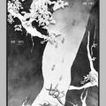 故寻——Priest《过门》