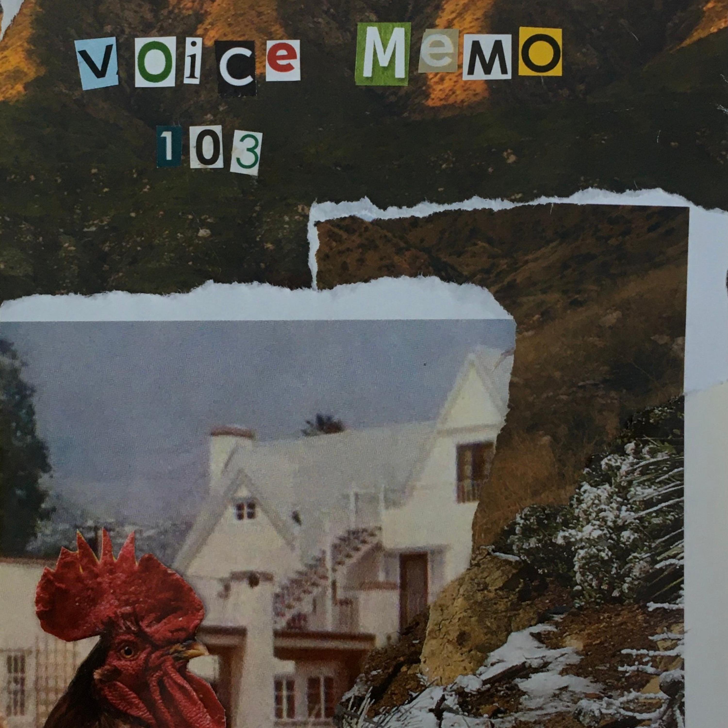 voice memo 103 (feat. Torpedo)