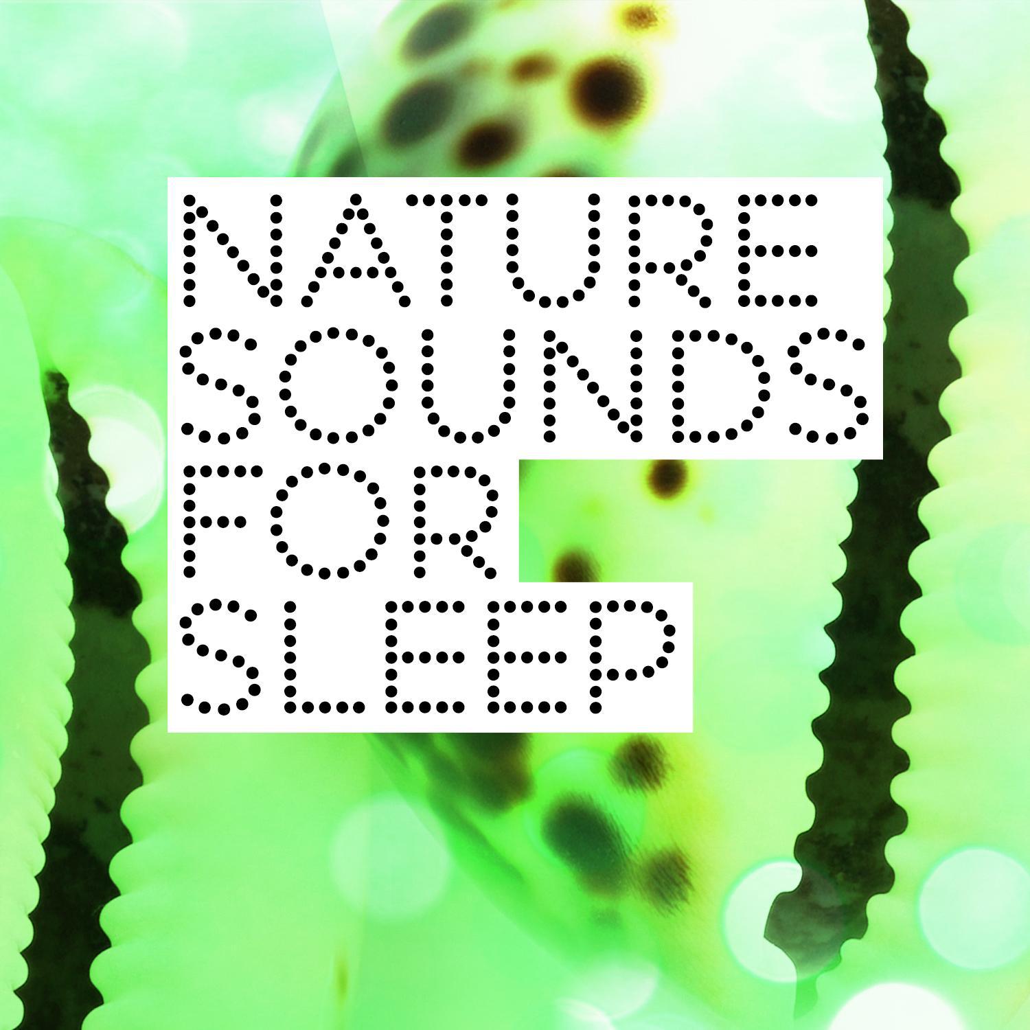 Nature Sounds for Sleep专辑