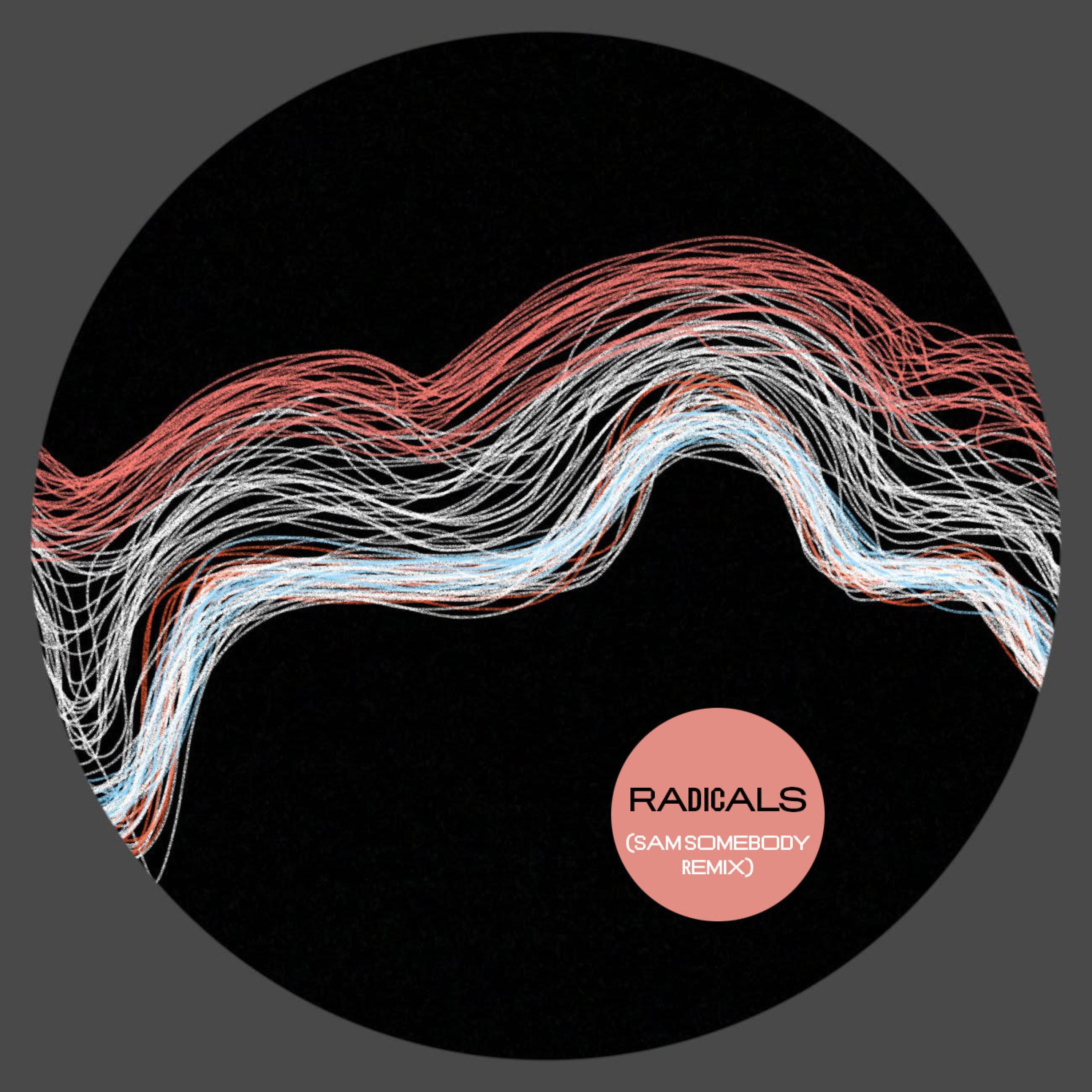 RADICALS (feat. SAM SOMEBODY) (REMIX)