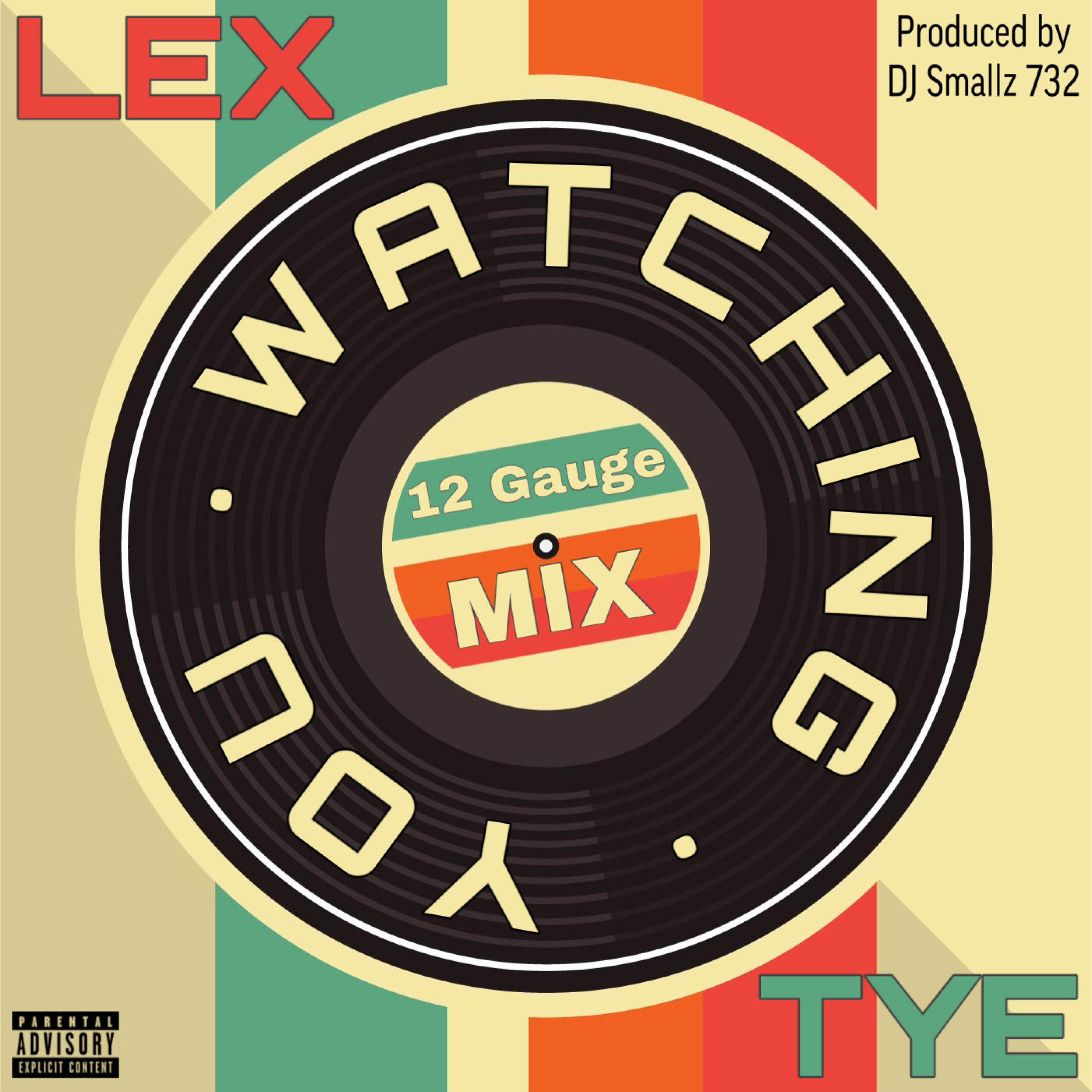 Watching You (12 Gauge Mix)