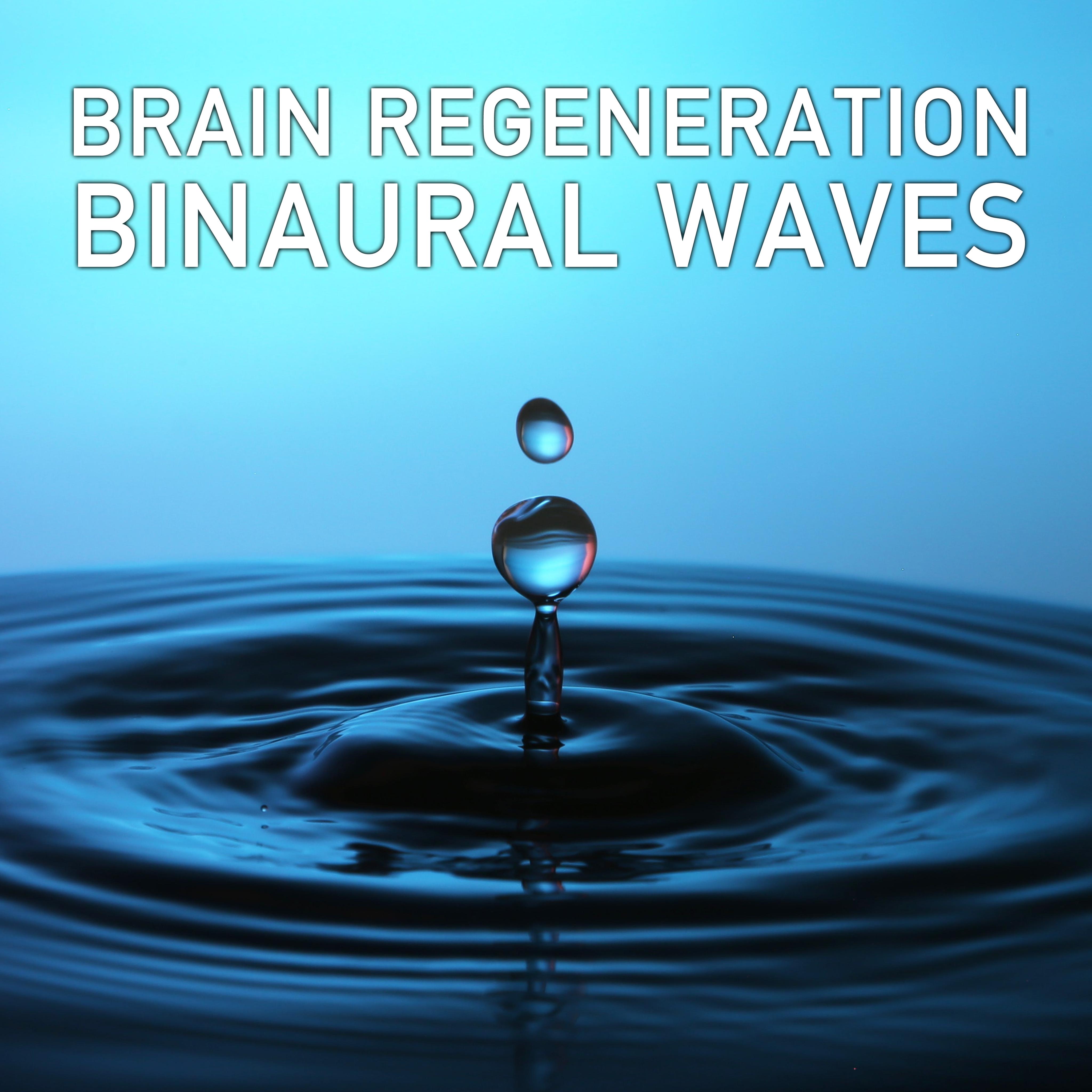 14 Brain Regeneration Binaural Waves专辑